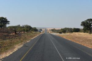 Unterwegs in Botswana